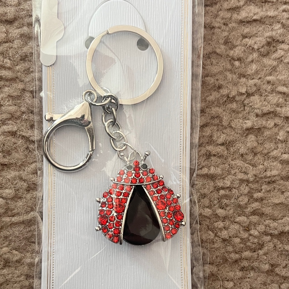 Chic Red and Black Ladybug Keychain